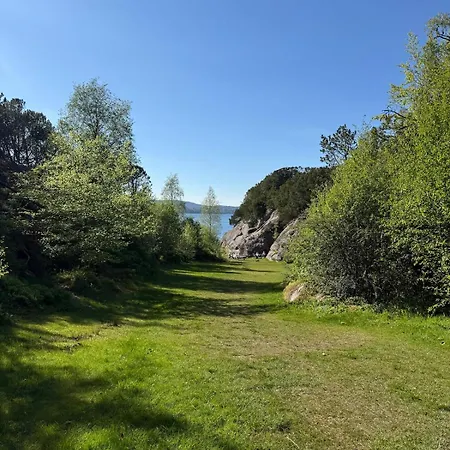 Vaaganeset Lii